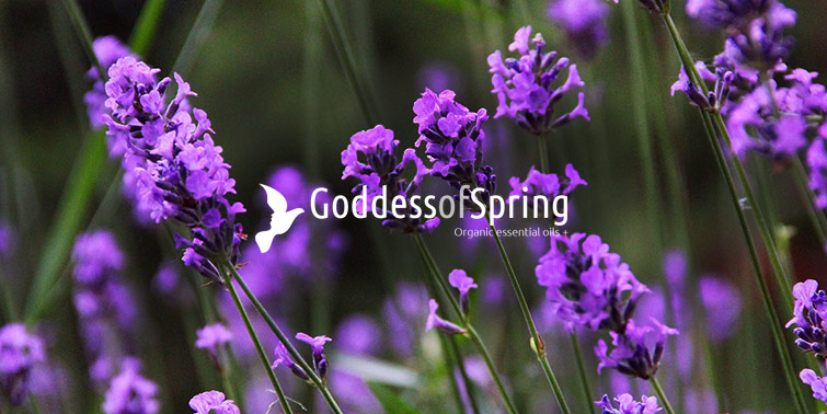 Goddess of Spring.