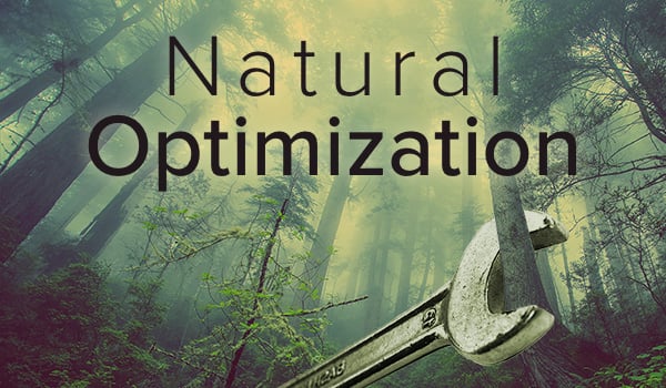 optimize your content naturally.